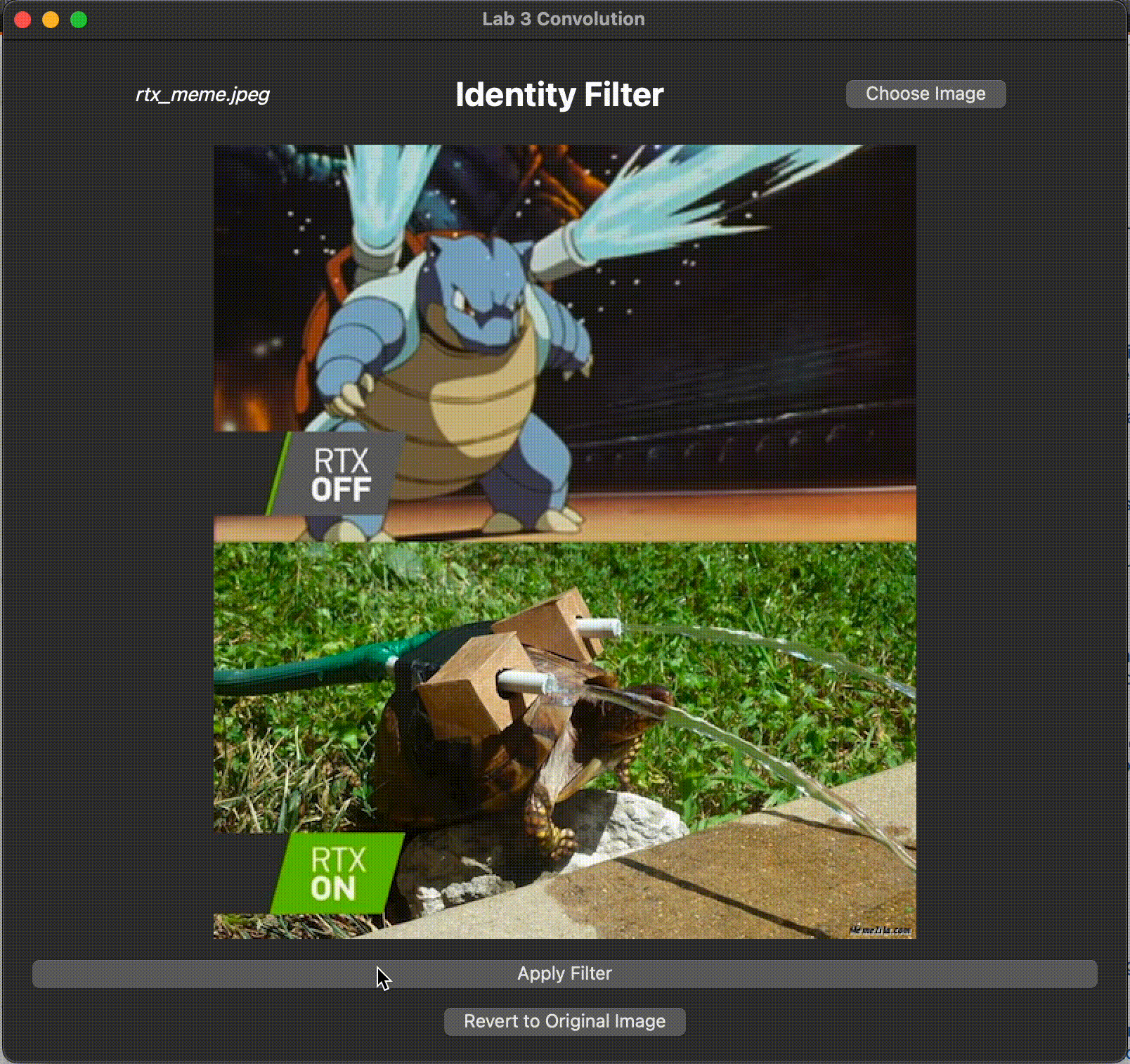 An identity filter being applied to an image