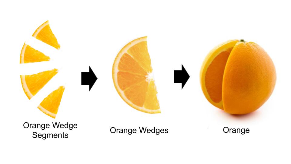 orange anatomy