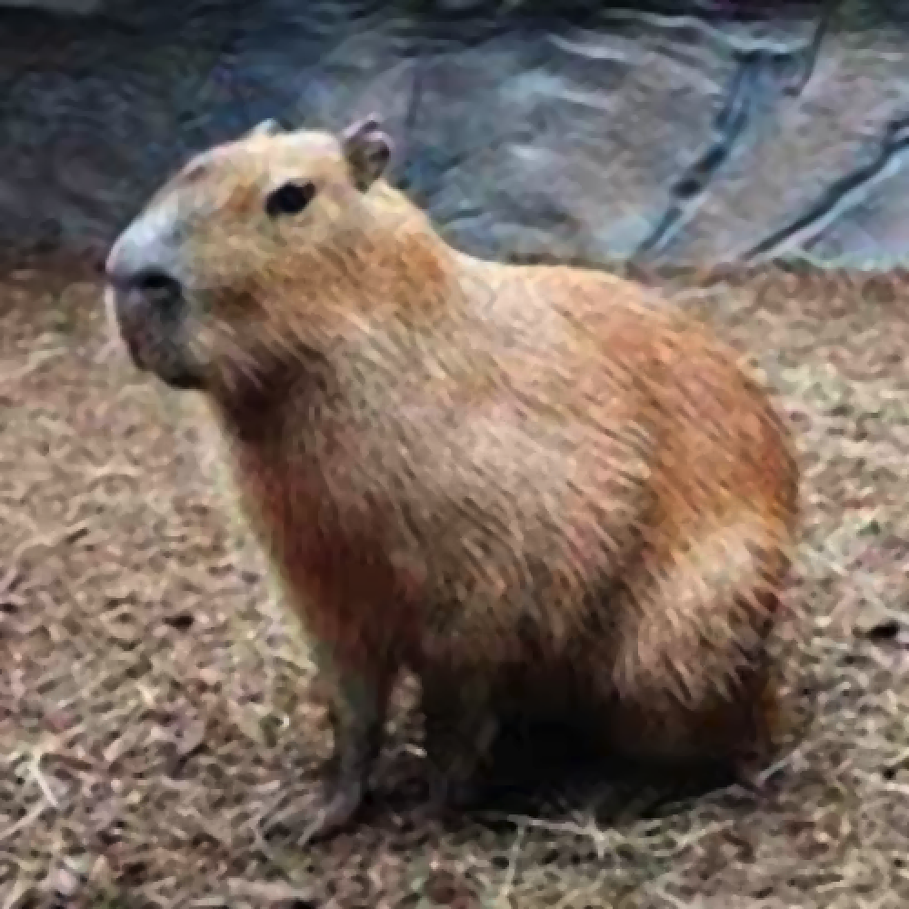 capybara median radius 2